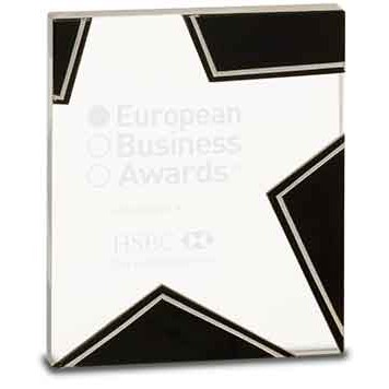 6 3/4" Silver/Black Glass Star Award