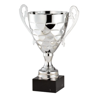 Vertex Texture Championship Cup, Silver, 19"H