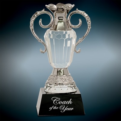 Medium Crystal Cup w/Silver Metal Handles